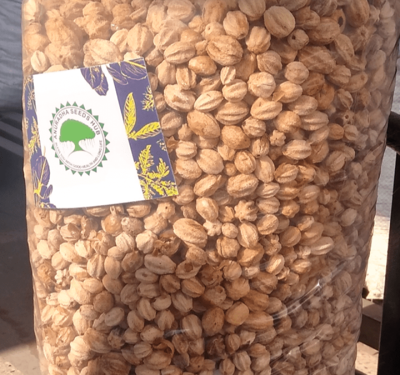 Buy Melia Dubia Seeds