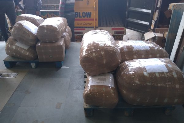 At Anuradha Seeds Hub, we are proud to offer a diverse and high-quality selection of forestry seeds, and we invite you to explore an extraordinary world of seeds from India’s finest collection. Our seeds are sourced from a wide range of plants, including medicinal, fruit, avenue, and timber-species plants, ensuring that we meet the needs of any project you undertake. All of our seeds are freshly harvested and ready for you to grow.